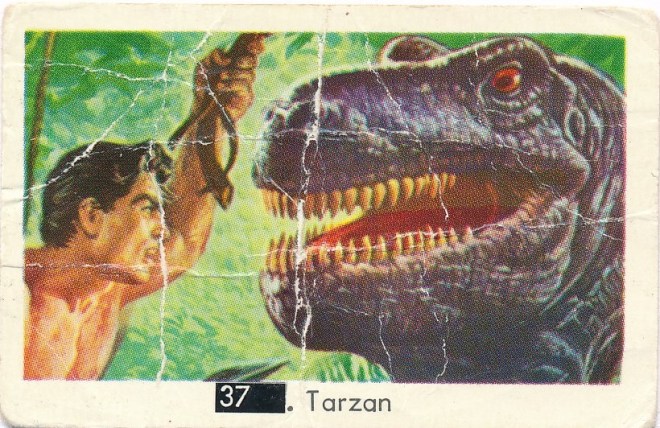 IMG_20211212_0001 - kopia69